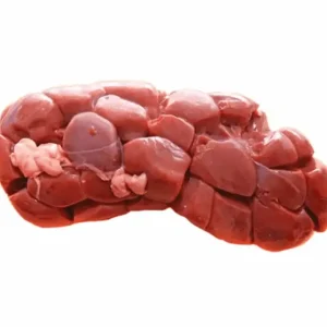 Ox-Kidney